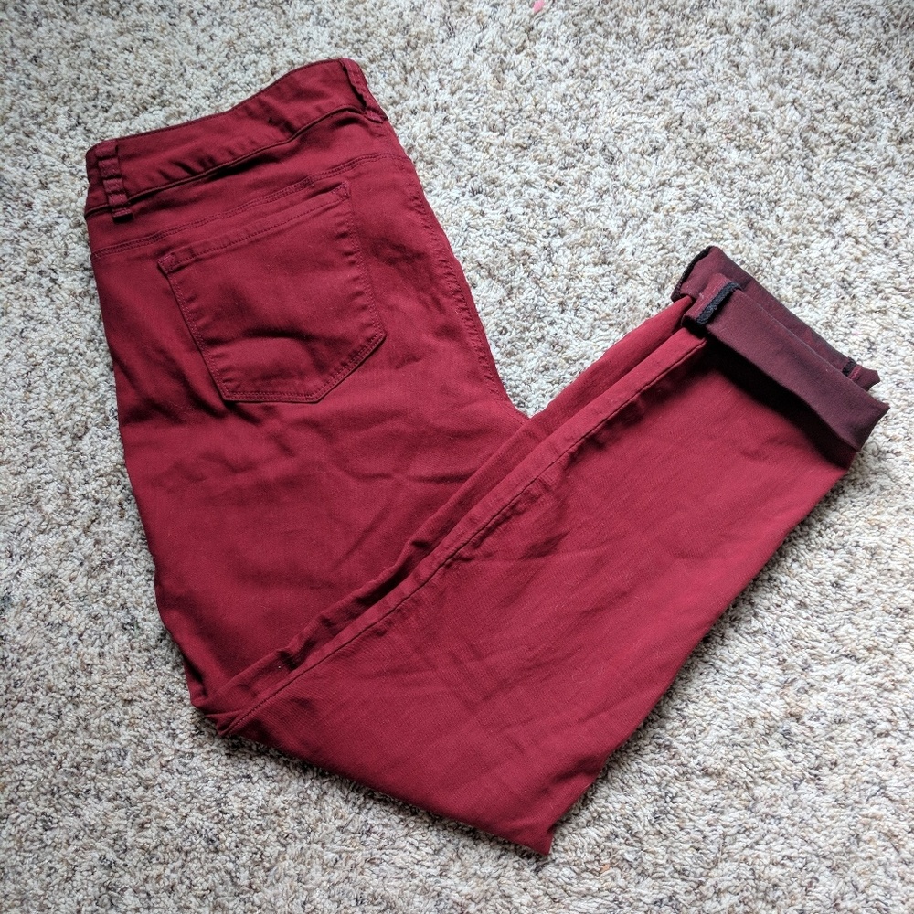 Torrid pants